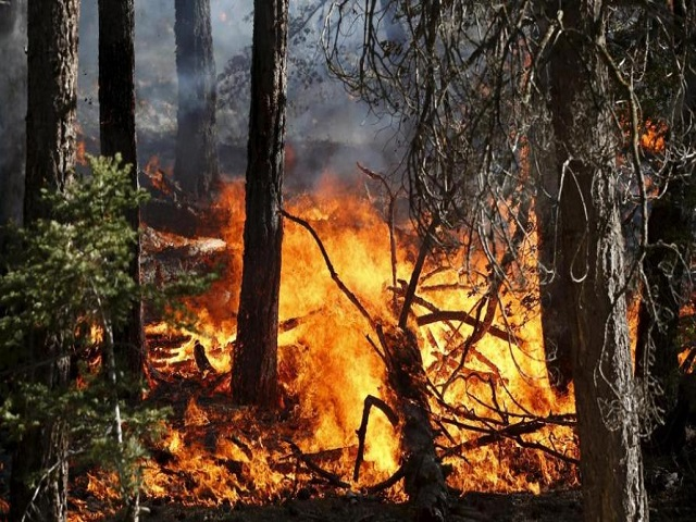 Stato di massima pericolosità incendi boschivi, dal 16 gennaio 2022