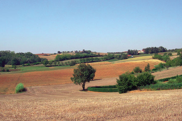 titolo immagine